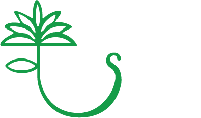 Fleurs-Binsfeld-Logo_white